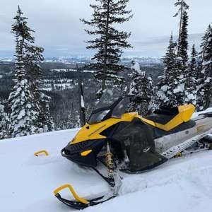 Meet your Posher, Richard